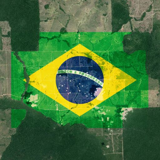 Current Paris accord climate targets 'no longer enough', UN envoy tells Sky
Current Paris accord climate targets 'no longer enough', UN envoy tells Sky