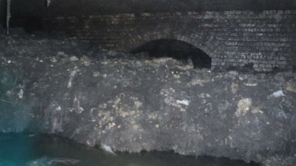 
                              Revealed: Main culprits that made up monster fatberg
                      