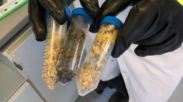 
                              Revealed: Main culprits that made up monster fatberg
                      