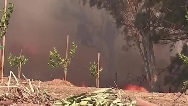 Greta Thunberg meets Leonardo DiCaprio as LA loses its cool over newfound star
Greta Thunberg meets Leonardo DiCaprio as LA loses its cool over newfound star