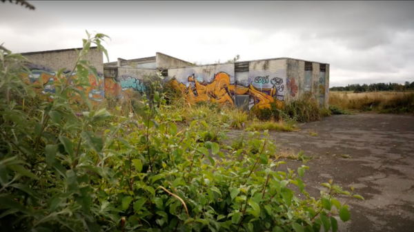 Abandoned sports centre now home to owls and plants on UK's extinction list - but for how long? Abandoned sports centre now home to owls and plants on UK's extinction list - but for how long?
