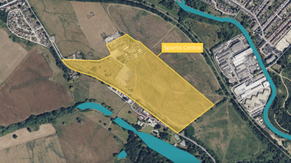 Abandoned sports centre now home to owls and plants on UK's extinction list - but for how long? Abandoned sports centre now home to owls and plants on UK's extinction list - but for how long?