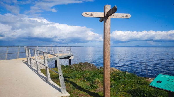 Lough Neagh: Largest lake in UK and Ireland being poisoned by toxic algae