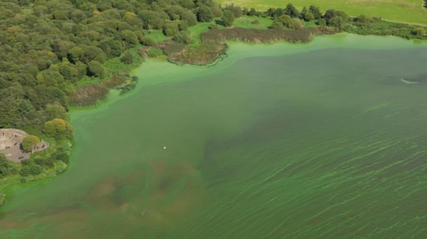 Lough Neagh: Largest lake in UK and Ireland being poisoned by toxic algae